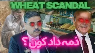 Wheat Crisis of Punjab Explained | The journalists