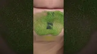Avocado facial skincare foam face mask