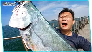 Мекка для рыбалки на юге Тайваня! Как может быть так много большой тайнаньской рыбы!