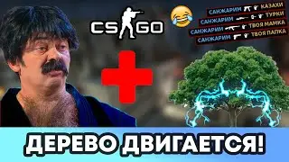 ЖИВОЕ ДЕРЕВО + НЕ ЖИВОЙ КАВКАЗ CS:GO / LIVE TREE + NOT LIVING CAUCASUS CS: GO