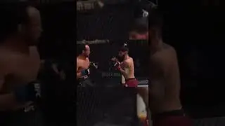 The most violent sequence of punches you'll ever see.