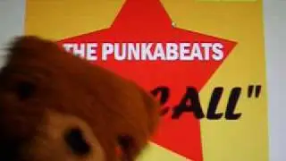 APE CALL - THE PUNKABEATS (Official Video)