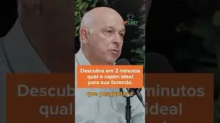QUAL &Eacute; O CAPIM CERTO PARA SUA FAZENDA? #capim #pastagem #agro