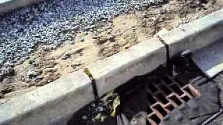 ent Construction Erosion SedimControl Inspection-Temporary Drainage