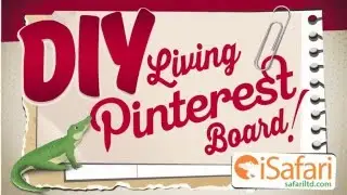 Safari Ltd&reg;'s Living Pinterest Board at Toy Fair New York