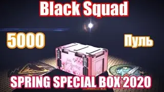 5000 пуль на SPRING SPECIAL BOX 2020 - Black Squad