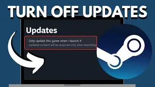 How to Disable Auto Update on Steam