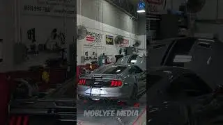FBO 10 speed mustang gt Dyno numbers! #cars #mustang #mustanggt #v8 #dyno #automobile #carcommunity