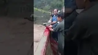 kashmir flood 2025 #flood