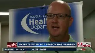 Bat Prevention
