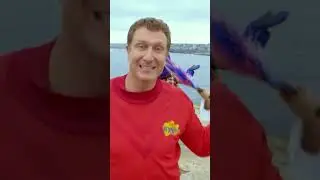 ERB Match-up Reaction: The Wiggles vs BTS