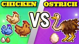 The Ultimate Showdown, Chicken Vs Ostrich. Who will be the superior bird In Stardew Valley.