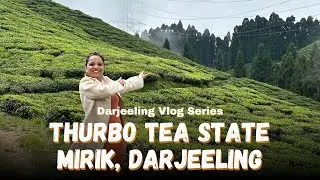 Thurbo Tea State, Mirik, Darjeeling | Largest Tea Garden | Darjeeling Vlog Series | West Bengal