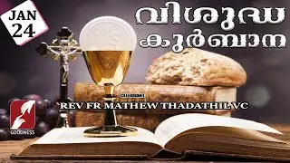 HOLY MASS LIVE @ 6 AM, 24-JAN-2026|FR MATHEW THADATHIL VC|MALAYALAM QURBANA|TODAY MASS|GOODNESS TV