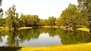 Homes for Sale - 8040 Withers Way Grand Blanc MI 48439 - Wendy Sabo
