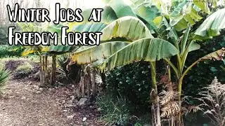 Winter Tour of our Food Forest & Growing Beds - Winter Jobs At Freedom Forest - VLOG