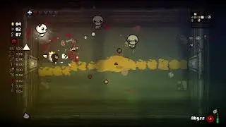 the FLIEST run