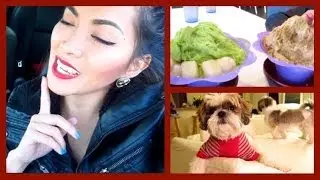 Sleepover, Shaved Snow & RED LIPS! Vlogmas 14 - ThatsHeartTV