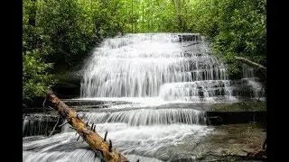 Cat Gap and Butter Gap loop - Pisgah National Forest, NC