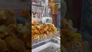 Claw Machine: Pokemon Complete Set (Namba GiGO)