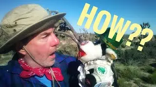 HOW Will You Do It? - WALK ACROSS AMERICA