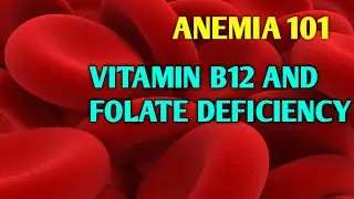 Anemia 101: Vitamin B12 and Folate deficiency Anemia