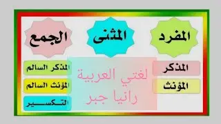 شرح درس الاسم من حيث العدد وأنواع الجمع شرحا مفصلاً 👌🏼 للصف السادس الدرس الخامس مع حل الأسئلة 