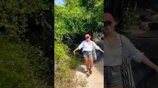 Surrounded by butterflies 🦋 #travel #traveling butterfly #bvi #baths #virgingorda #travelvlog