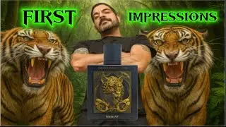 First Impressions: Unboxing the Rayhaan Tiger Cal Cologne Edition