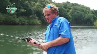 Southern Amazon Peacock Bass trips