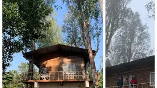 Beautiful botanical Garden in araku#paderu#lambasingi#travel vlog#holiday#famousparks#ismart lavanya
