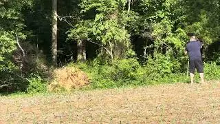 Steyr AUG full-auto