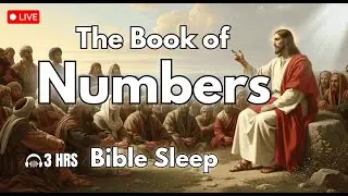 Fall Asleep to The Book of Numbers: Israel&rsquo;s Wilderness Journey of Trust | Bible Reading
