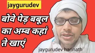 बोवे पेड़ बबूल का अम्ब कहां ते खाएं|Boe Ped Babool Ka Amb Kahaan Se Khaen|Harinath Sharma Satsang|