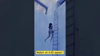 Breaking the youtube algorithm ( experiment) , watch at speed 0.25 🙏❤️
