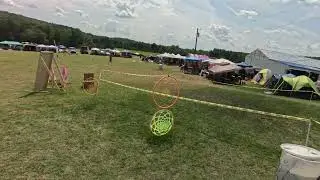 Zack Louis @ Sunshine Shakedown2