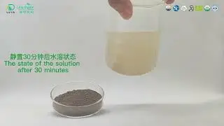 Galla chinensis extract ellagic acid 90% powder Water Soluble Test