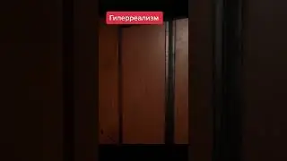 Вот это реалити #twinsouls #реализм