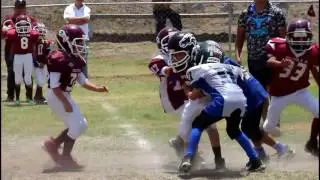 Mavericks vs Politos (Categoria Baby)