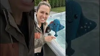 The Cutest Way to Keep Your Hot Tub Clean 🐟💦 | PELONI Stingray Sponge#PoolMaintenance#CleaningGadget