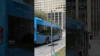 New Livery Novabus LFX in Downtown Austin | #austin #novabus #bus