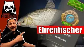 Russian Fishing 4 - Moskitosee - Ehrenfischer Aland