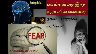 பயம் என்பது இந்த உறுப்பின் விளைவு தான் | Amygdala explained | Krishnaraaj informative