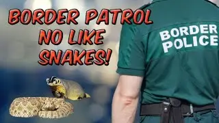 Border Patrol doesn't like snakes. Herping grind continues.