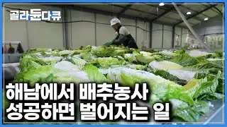 피붙이부터 이웃사촌까지 죄다 모였다｜손부터 기계까지 죄다 동원해서 김장담그는 마을 사람들｜한국기행｜#골라듄다큐