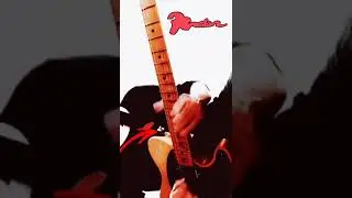 Guitar Philosophy.#guitarplayer #guitarlove #shred #fender #fastpicking #rockguitar #rickbeato