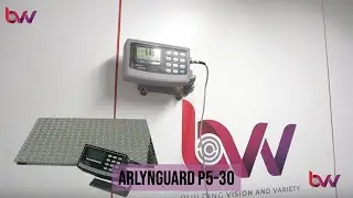 Intrinsically Safe Platform Scales