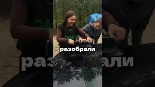 Elkino Gang x Mirror Detailing : Лесной Детейлинг - Блеск под шум листвы!