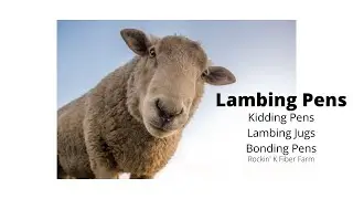 Lambing Pens