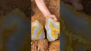 This is amazing!!😱 I just found $30,000 worth of fluorite and gold streaks hidden inside